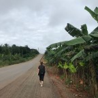 Apemanim